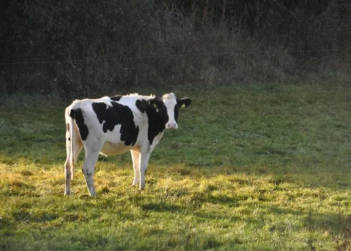 With 2 Bedrooms * 乌尔门